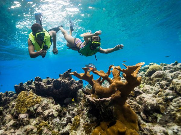 Nha Trang Private Snorkeling Tour At Hon Mun Island